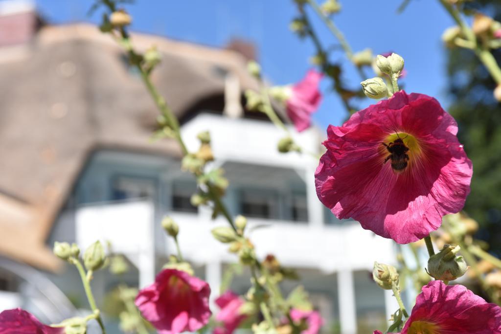 Romantik Hotel Fischerwiege Ahrenshoop Exterior photo